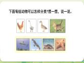 2024年北師大版數(shù)學(xué)一年級(jí)上冊(cè)總復(fù)習(xí)第3課時(shí)  統(tǒng)計(jì)與概率課件