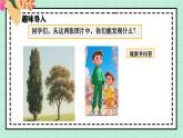 西師大版一年級(jí)上冊(cè)數(shù)學(xué)第三單元（認(rèn)識(shí)立體圖形）3《比一比》課件+教案