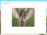 【新課標(biāo)核心素養(yǎng)】冀教版數(shù)學(xué)四年級(jí)上冊(cè)2.5《除數(shù)接近幾十五的筆算除法》（課件+教案+大單元整體教學(xué)設(shè)計(jì)）