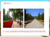 【新課標(biāo)核心素養(yǎng)】冀教版數(shù)學(xué)五年級上冊第6單元第6課時《鋪甬路》（課件+教案+大單元整體教學(xué)設(shè)計）