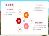 【新課標(biāo)核心素養(yǎng)】冀教版數(shù)學(xué)六年級上冊3.1《百分?jǐn)?shù)》（課件+教案+大單元整體教學(xué)設(shè)計）