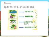 【新課標核心素養(yǎng)】冀教版數學六年級上冊3.6《森林覆蓋率問題》（課件+教案+大單元整體教學設計）