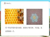 【新課標(biāo)核心素養(yǎng)】冀教版數(shù)學(xué)五年級上冊9.2圖形密鋪的奧秘（課件+教案+大單元整體設(shè)計(jì)）