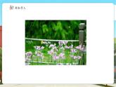【新課標(biāo)核心素養(yǎng)】冀教版數(shù)學(xué)四年級(jí)上冊(cè)3.5《參觀植物園》（課件+教案+大單元整體教學(xué)設(shè)計(jì)）