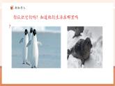 【新教材核心素養(yǎng)】青島版數(shù)學(xué)一年級下冊5.5《一個數(shù)比另一個數(shù)少多少》（課件+同步教案+大單元教學(xué)設(shè)計）