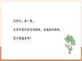 【大單元核心素養(yǎng)】蘇教版數(shù)學(xué)六年級(jí)下冊6.4《大樹有多高》（課件+同步教案表格式+單元整體教學(xué)設(shè)計(jì)）