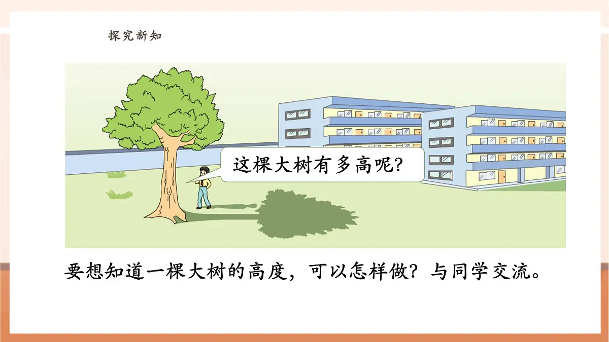 6.4《大树有多高》（课件）第6页