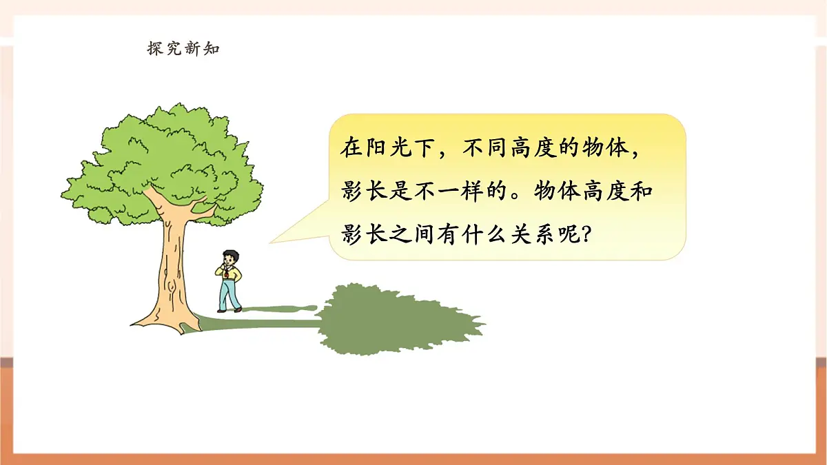 6.4《大树有多高》（课件）第8页