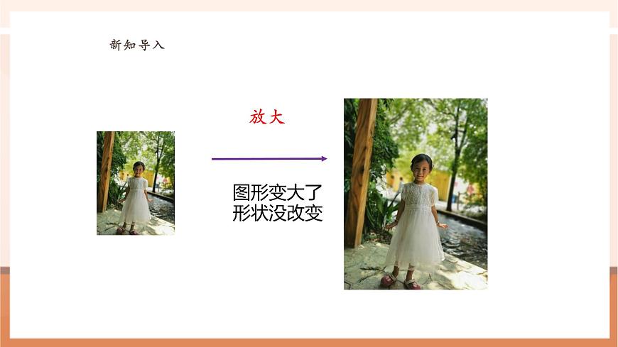 4.1《图形的放大与缩小》（课件）第5页