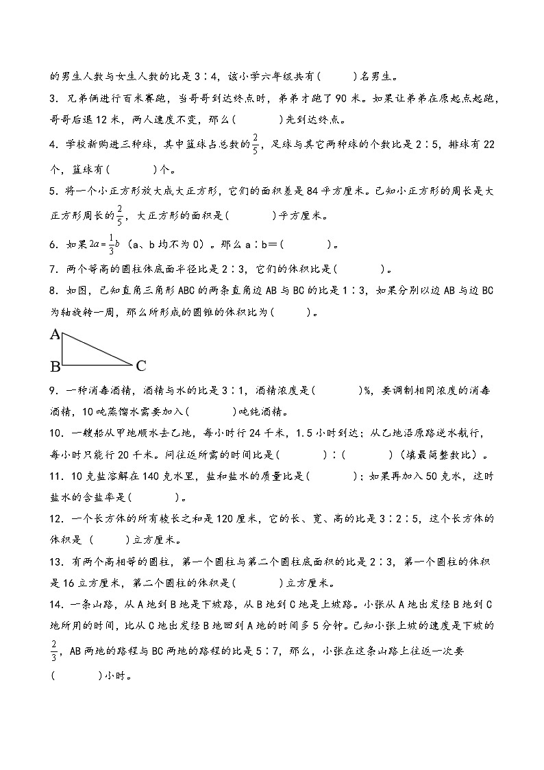 2025年小升初数学核心考点讲练（通用版）专题13比（学生版）第3页