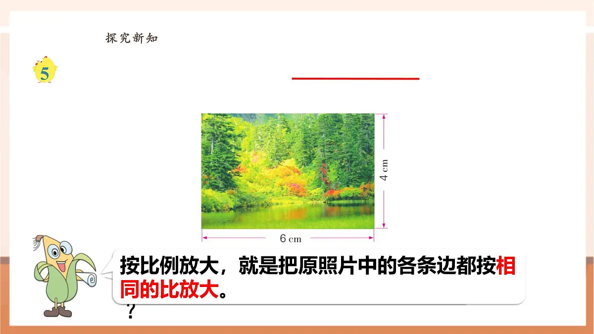 4.4《解比例》（课件）第6页