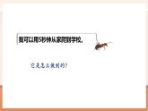 【大單元核心素養(yǎng)】蘇教版數學六年級下冊4.6《比例尺的應用》（課件+同步教案+單元整體教學設計）