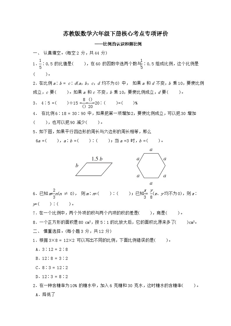 2024_2025学年苏教版数学六年级下册专项训练：比例的认识和解比例（含答案）第1页