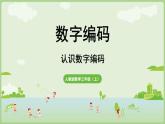 數(shù)字編碼（課件）2025-2026學(xué)年人教版三年級(jí)數(shù)學(xué)上冊(cè)
