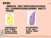 西師大版小學(xué)數(shù)學(xué)五年級上冊第三單元第2課時(shí)《除數(shù)是整數(shù)的除法（2）》說課課件