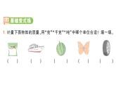 小學(xué)數(shù)學(xué)新人教版三年級上冊曹沖稱象的故事第1課時 認(rèn)識質(zhì)量單位作業(yè)課件（2025秋）