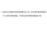小學(xué)數(shù)學(xué)新人教版三年級上冊曹沖稱象的故事第1課時 認(rèn)識質(zhì)量單位作業(yè)課件（2025秋）