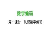 小學(xué)數(shù)學(xué)新人教版三年級(jí)上冊(cè)數(shù)字編碼第1課時(shí) 認(rèn)識(shí)數(shù)字編碼作業(yè)課件（2025秋）