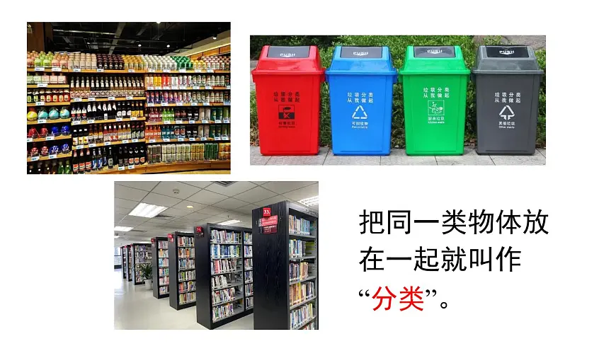 小学数学新人教版二年级上册一 第1课时 分类与整理（1）教学课件（2025秋）第3页