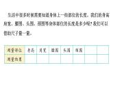 人教版（2024）二年級(jí)數(shù)學(xué)上冊(cè) 身體上的長(zhǎng)度 （課件）