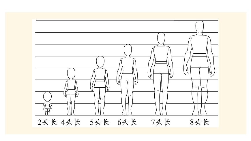 人教版（2024）二年级数学上册 身体上的尺子 小讲堂 （课件）第4页