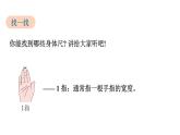人教版（2024）二年級(jí)數(shù)學(xué)上冊(cè) 身體上的尺子 （課件）