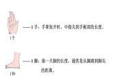 人教版（2024）二年級(jí)數(shù)學(xué)上冊(cè) 身體上的尺子 （課件）