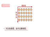 人教版（2024）二年級數(shù)學(xué)上冊 2.1.2 從不同的角度觀察圖畫 （課件）
