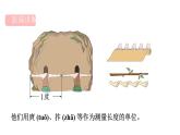 人教版（2024）二年級數(shù)學上冊 4.1 厘米和米(第1課時) （課件）