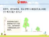 北師大版（2024）新教材三年級(jí)數(shù)學(xué)上冊(cè)課件 4.3  看一看（三）