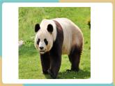 【新教材新課標(biāo)】冀教版數(shù)學(xué)一年級上冊《我上學(xué)了1.3 熊貓請客》（課件+教學(xué)設(shè)計(jì)+分層練習(xí)）