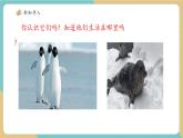【新教材新課標】青島版五四制數(shù)學一年級下冊4.5《一個數(shù)比另一個數(shù)少多少》（課件+教案+大單元教學設(shè)計）