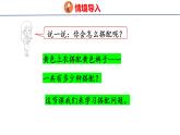 數(shù)學(xué)廣角：搭配問題（課件）2025-2026學(xué)年人教版三年級數(shù)學(xué)上冊