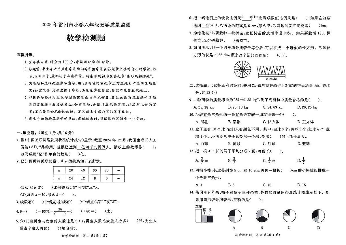 广东省湛江市雷州市2024-2025学年六年级下学期小升初数学试题第1页
