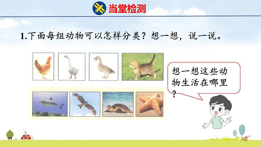 北师大版（2024）一年级数学上册课件 总复习 3 统计与概率第4页