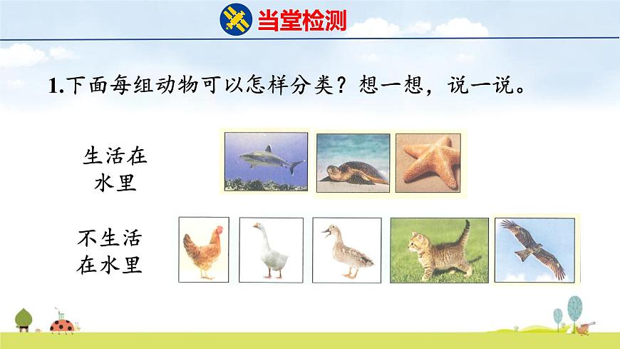 北师大版（2024）一年级数学上册课件 总复习 3 统计与概率第5页