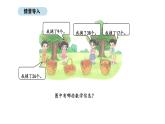 2025-2026學年度北師大版數學二年級上冊1.2 摘蘋果 （課件）