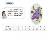2025-2026學(xué)年度北京版數(shù)學(xué)二年級(jí)上冊(cè)2.7  4的乘法口訣（課件）新版教材，網(wǎng)站目錄沒更新