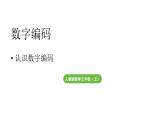小學(xué)數(shù)學(xué)新人教版三年級(jí)上冊數(shù)字編碼教學(xué)課件（2025秋）