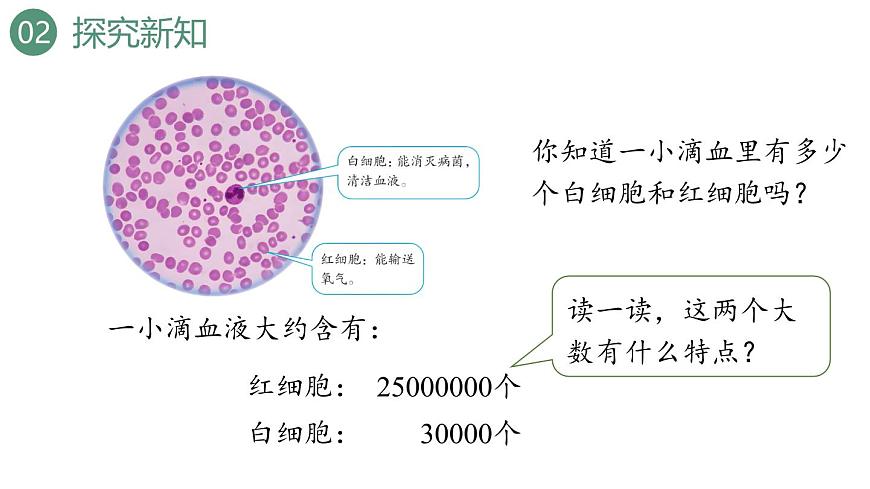新人教版数学四年级上册1.6 亿以内数的改写课件第6页