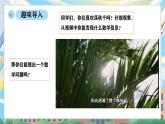 西師版二年級上冊數(shù)學(xué)第二單元（表內(nèi)乘法）4《1-5的乘法口訣-一共有幾人在蕩秋千？》課件+教學(xué)設(shè)計