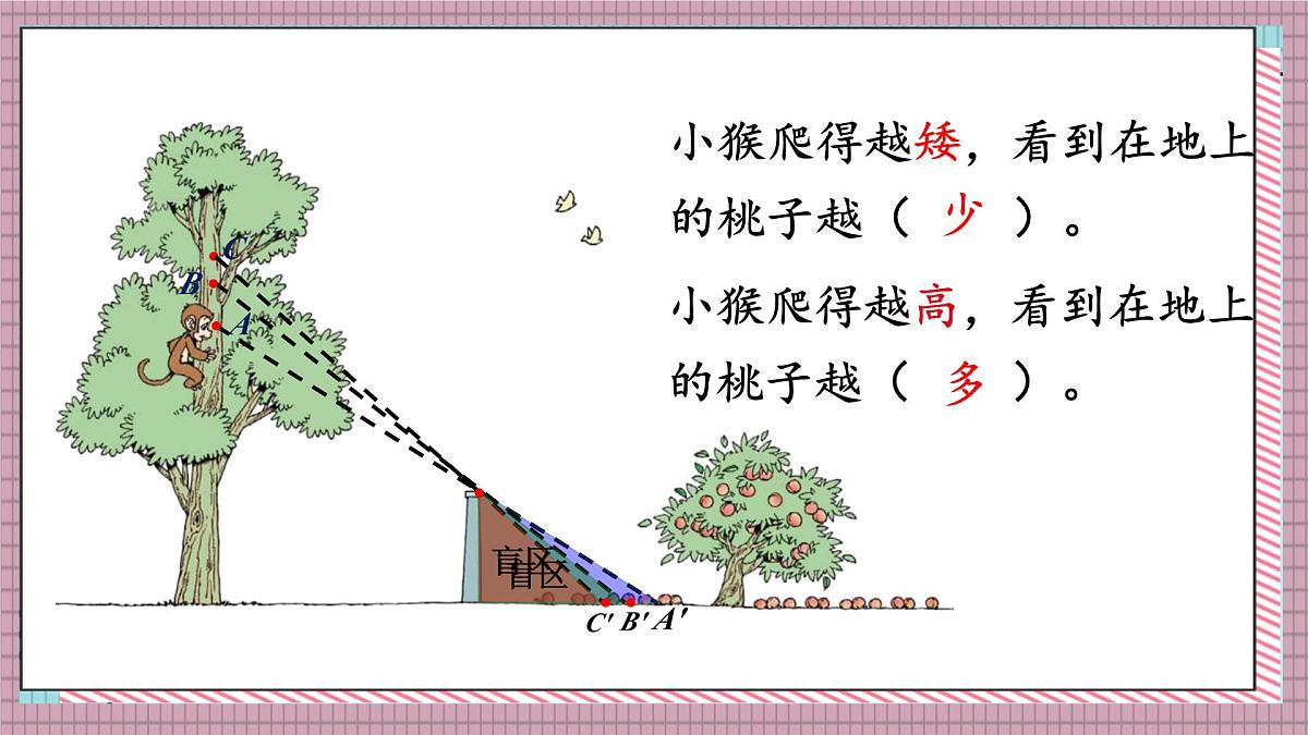 北师大数学六年级上册 观察的范围 第二课时 课件第4页