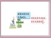 北師大數(shù)學(xué)六年級上冊  生活中的比（2）  第二課時  課件