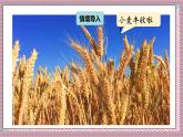 北師大數(shù)學(xué)六年級上冊 百分?jǐn)?shù)的應(yīng)用（二）（2） 第四課時  課件