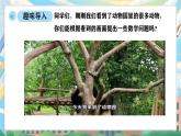 西師版二年級(jí)上冊(cè)數(shù)學(xué)第二單元（表內(nèi)乘法）11《整理與復(fù)習(xí)》課件+教學(xué)設(shè)計(jì)
