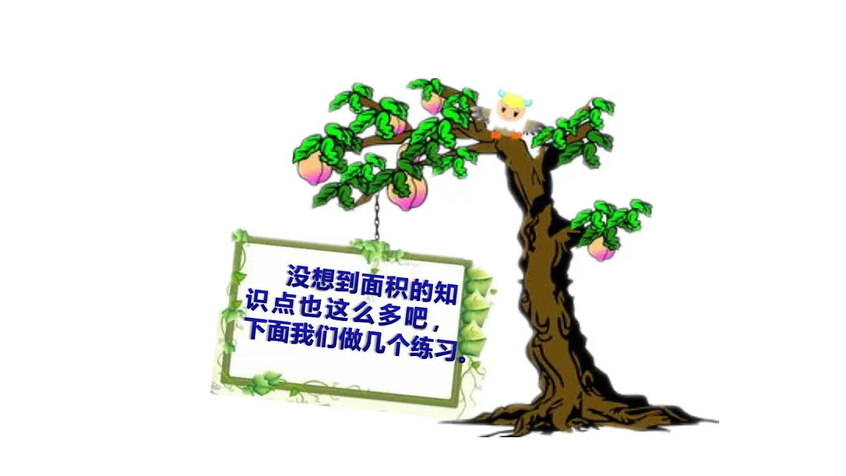 小学六年级小升初数学知识点精讲课件（面积)第7页