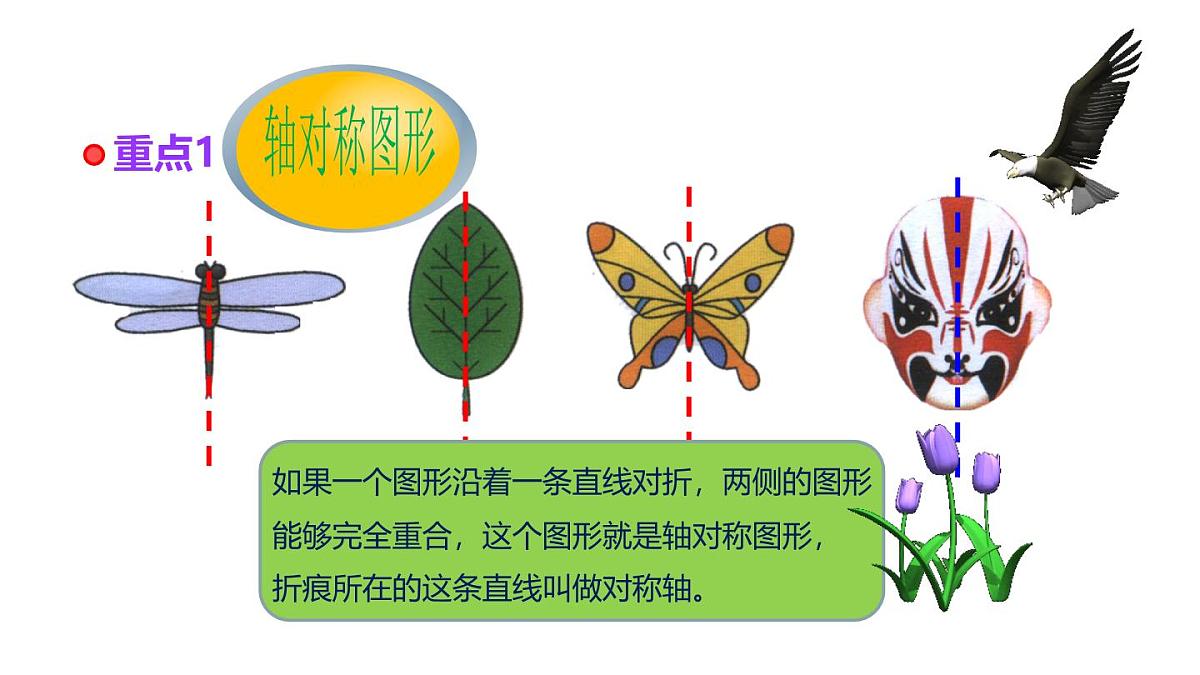 小学六年级小升初数学知识精讲课件--图形的变换第3页