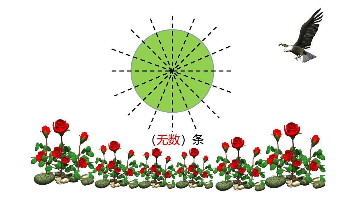 小学六年级小升初数学知识精讲课件--图形的变换第5页