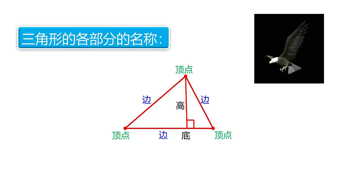小学六年级小升初数学知识精讲课件（平面图形的认识）第5页