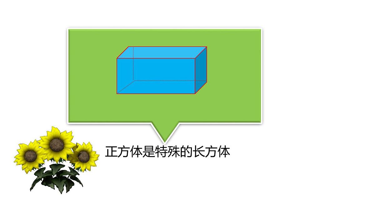 小学六年级小升初数学知识精讲课件--立体图形的认识第6页